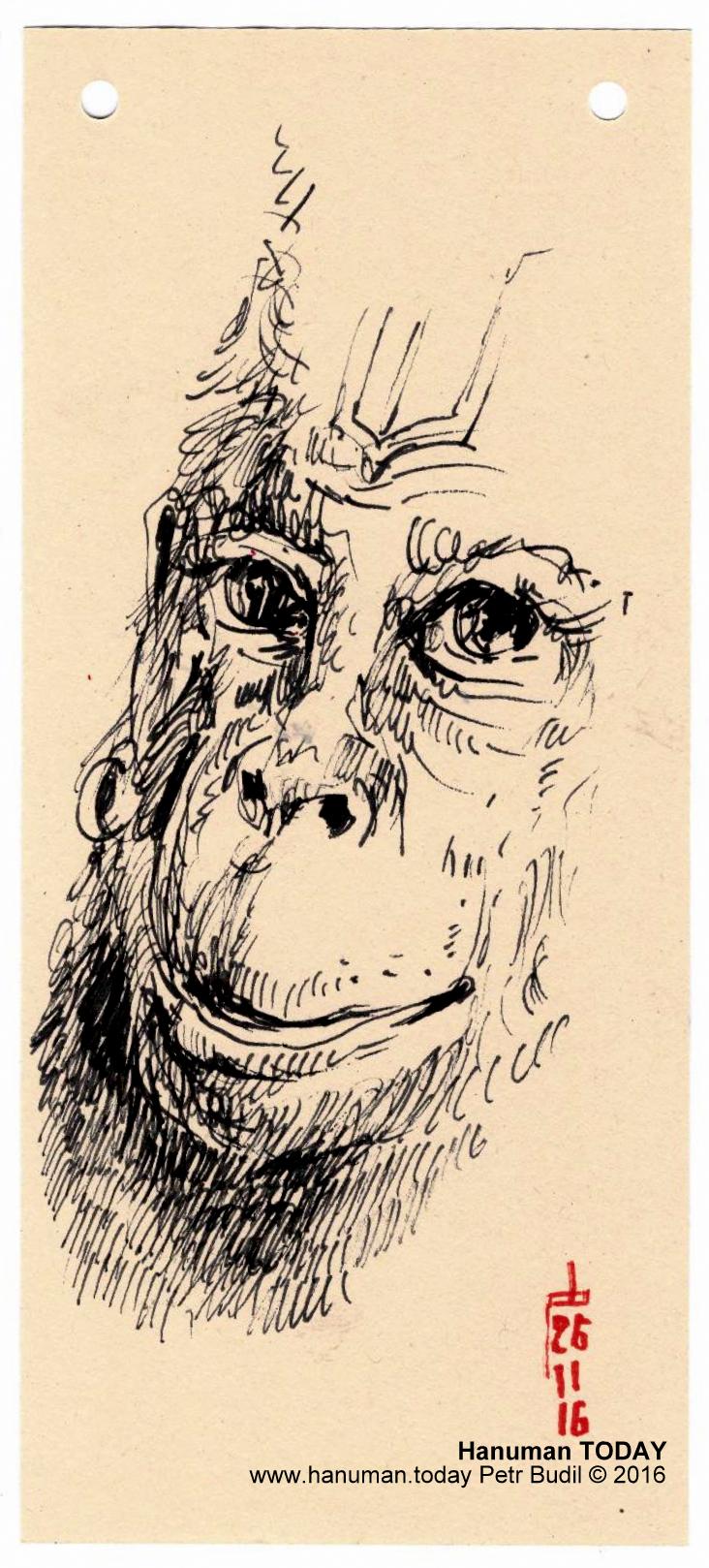 hanuman-today-26-11-2016